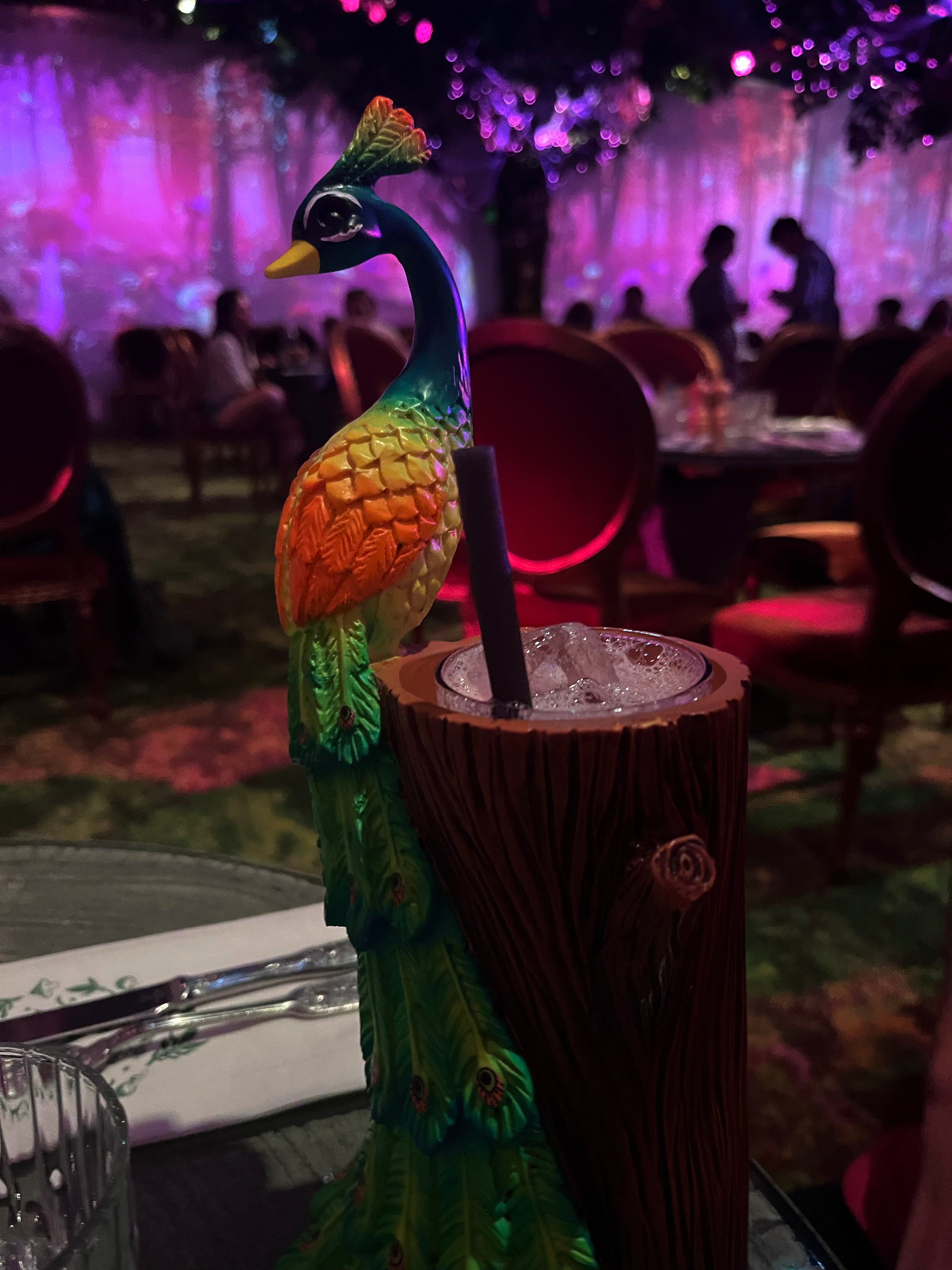 Un dîner féérique à Wonderwoods – Val d’Europe